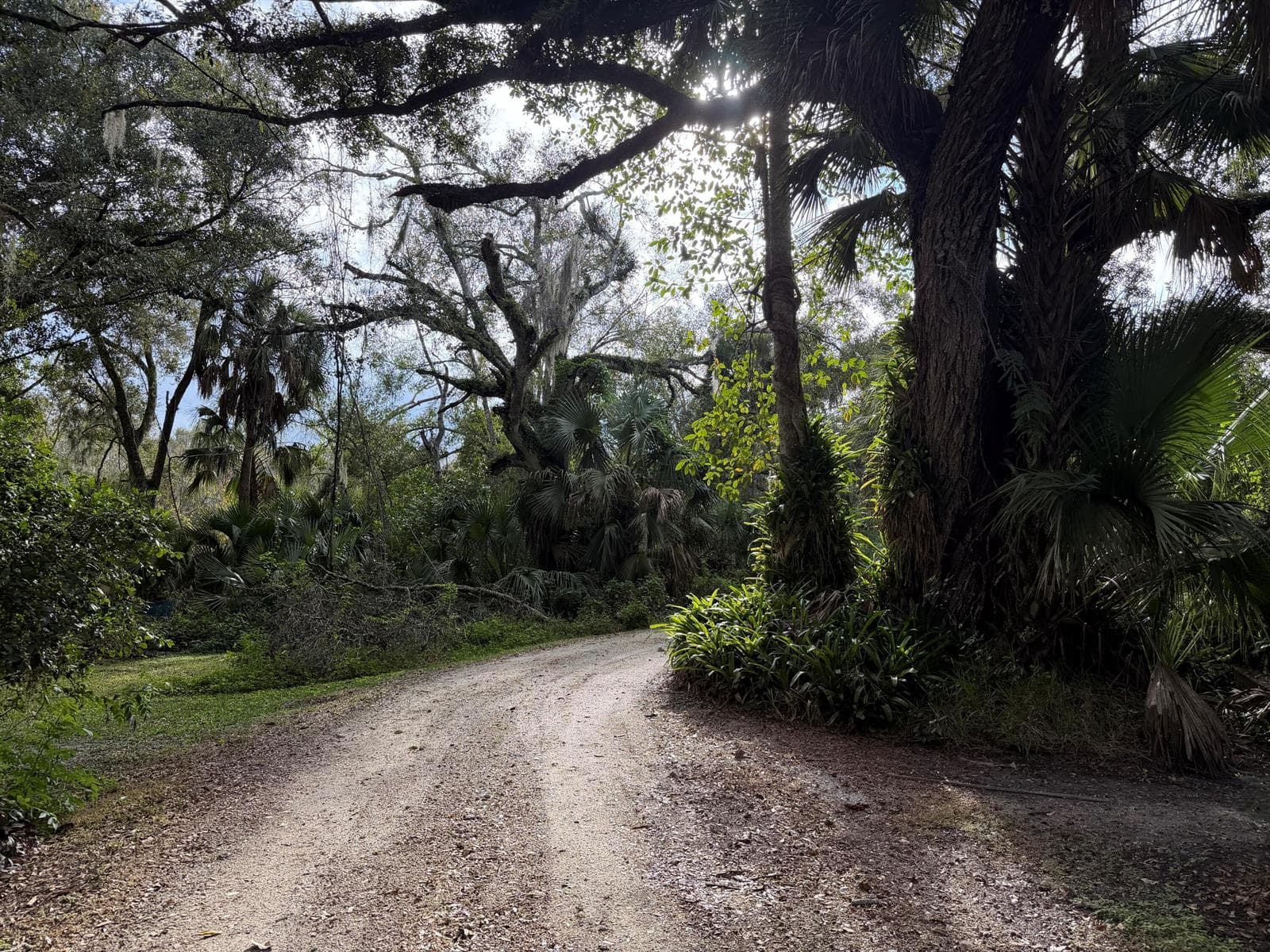 535 SE 80th Avenue, Okeechobee, FL 34974 photo 4