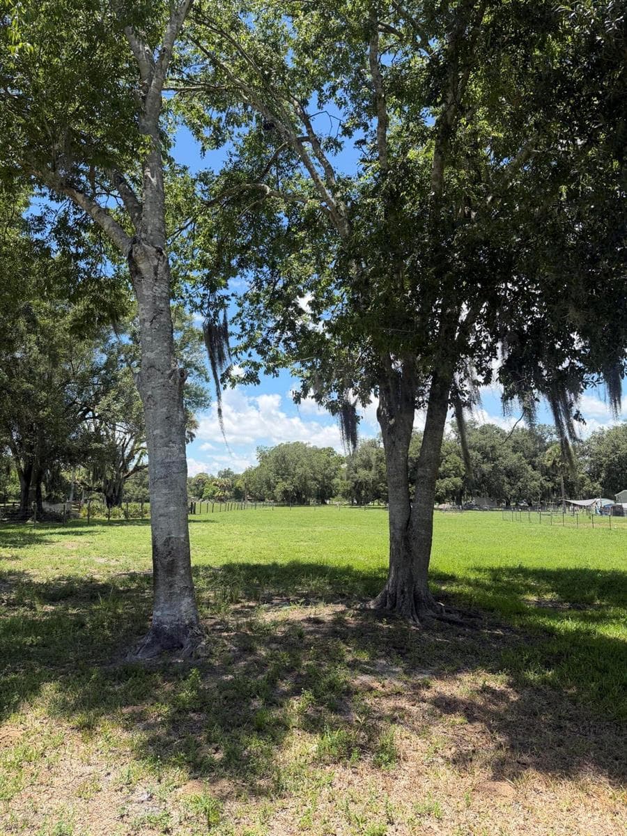 0 NE 28th Avenue, Okeechobee, FL 34972 photo 3