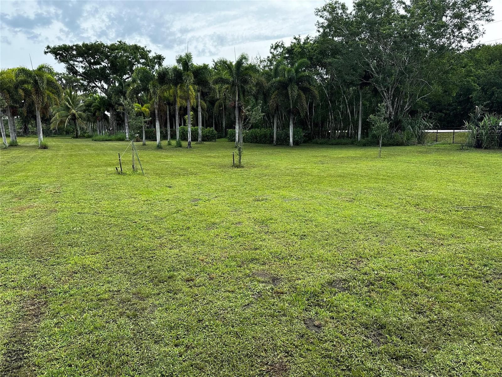 15600 SW Conners Highway, Okeechobee, FL 34974 photo 4