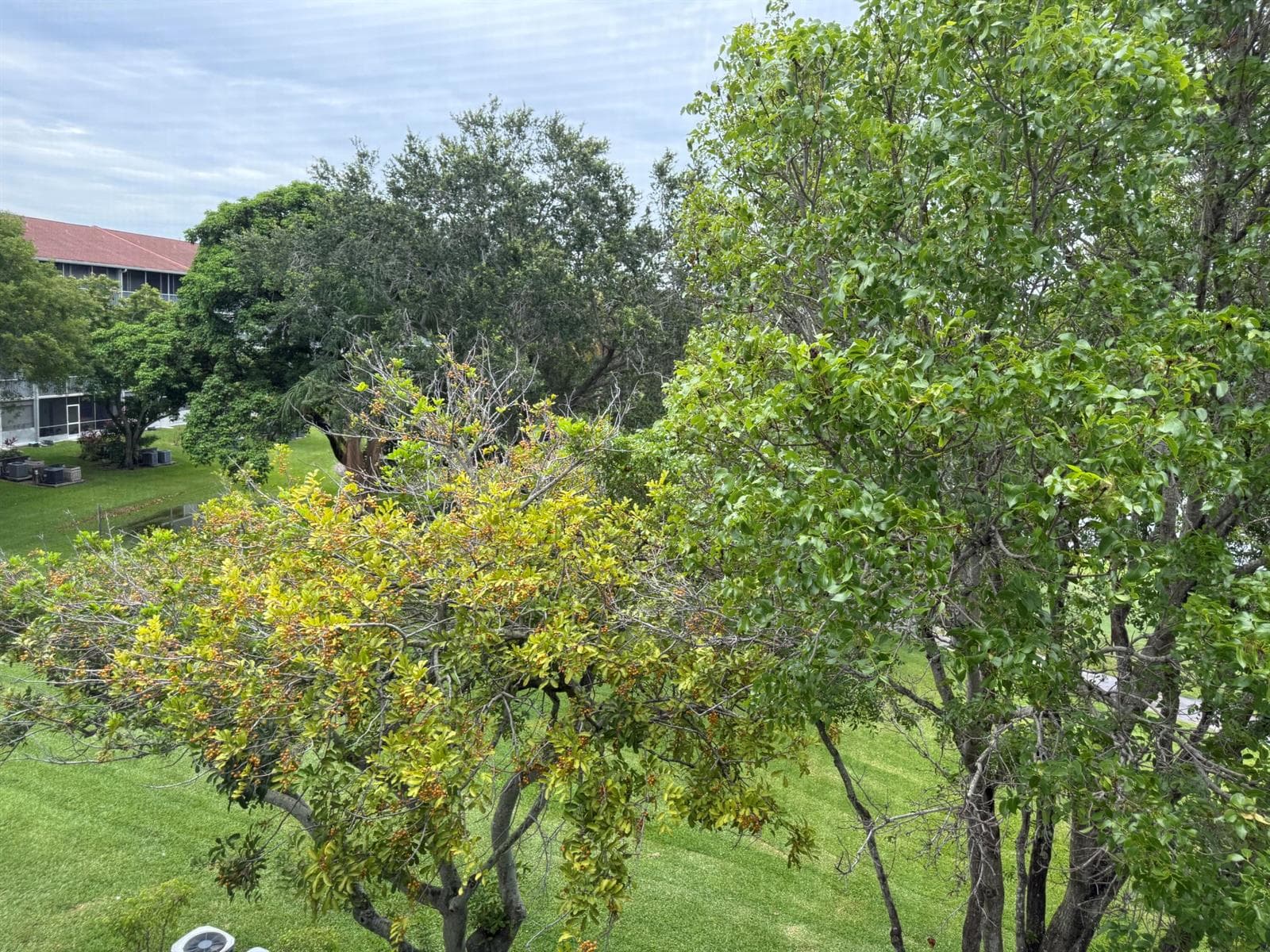 301 SW 135th Avenue # 404c, Pembroke Pines, FL 33027