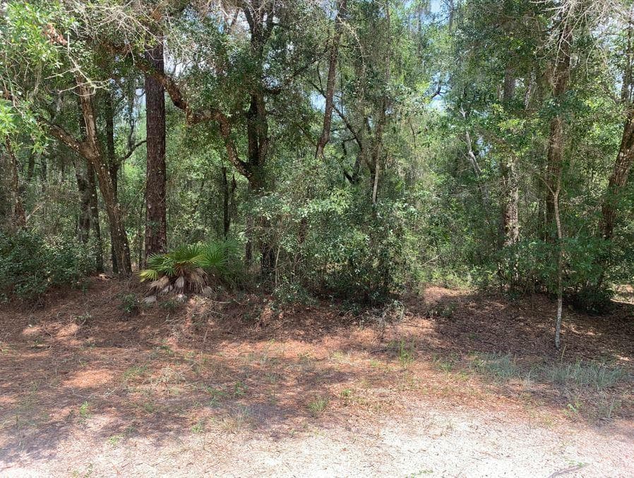 112 New Jersey Street, FL 32189