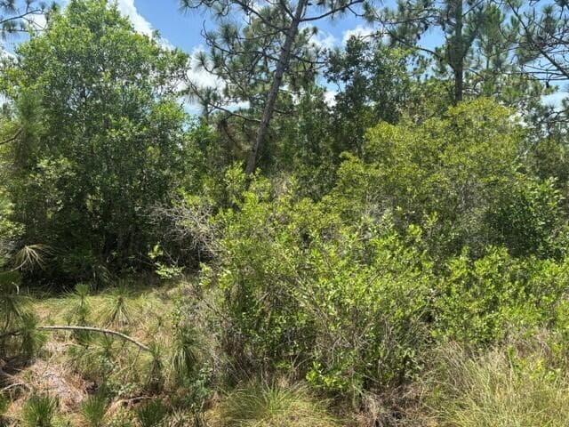 0 Holopaw Groves Road, FL 34772 photo 2