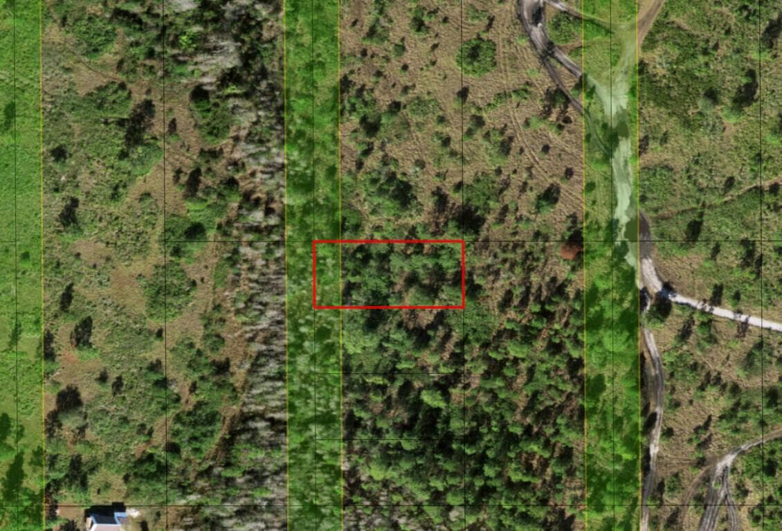 0 Holopaw Groves Road, FL 34772 photo 3