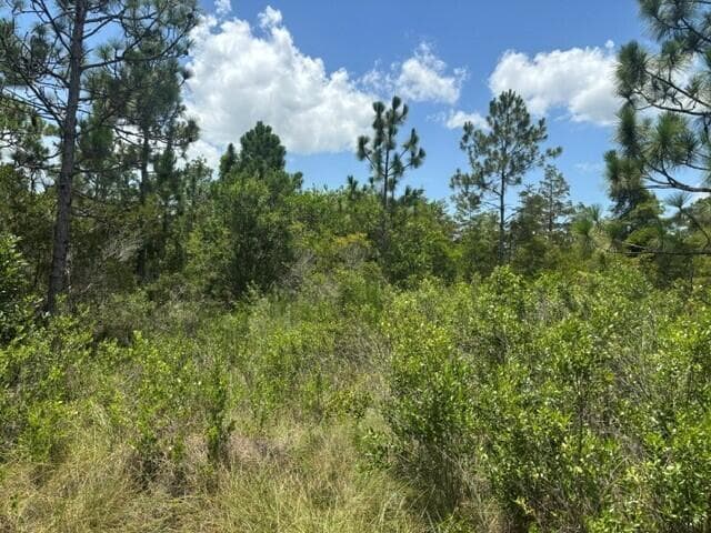 0 Holopaw Groves Road, FL 34772