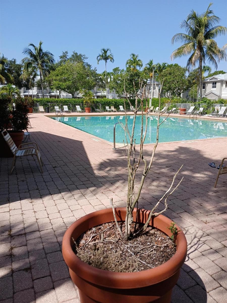 2127 Shoma Drive, Royal Palm Beach, FL 33414 photo 2