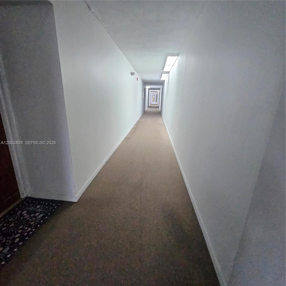 11790 SW 18th St # 519-3, Miami, FL 33175 photo 5
