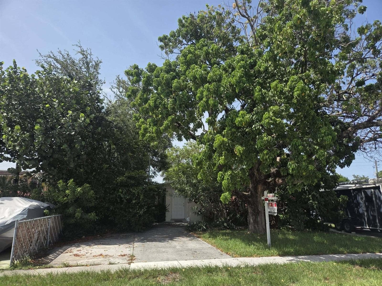 207 SE 7th Street, Dania Beach, FL 33004 photo 3