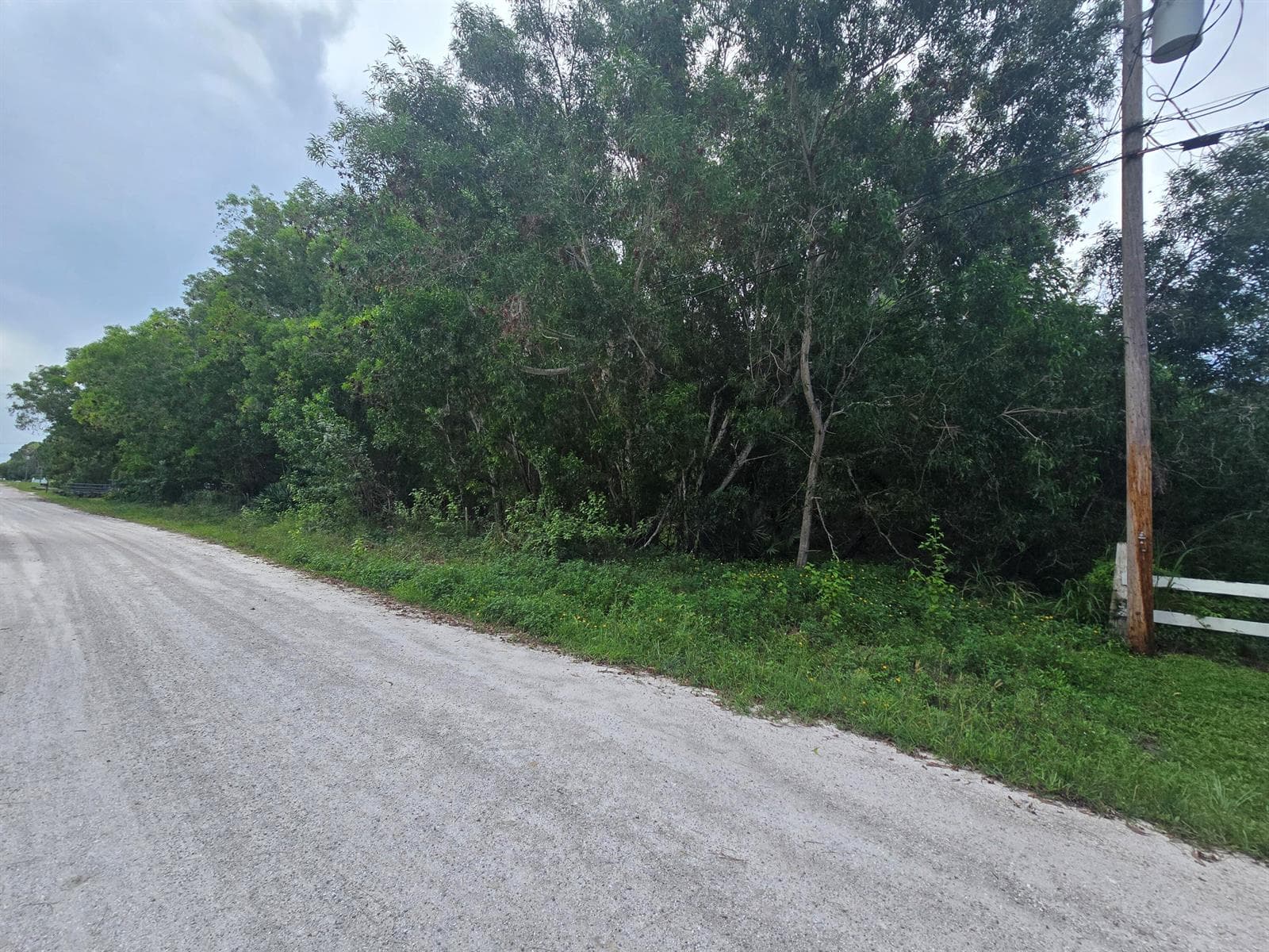 17665 46th Court N, FL 33470 photo 5