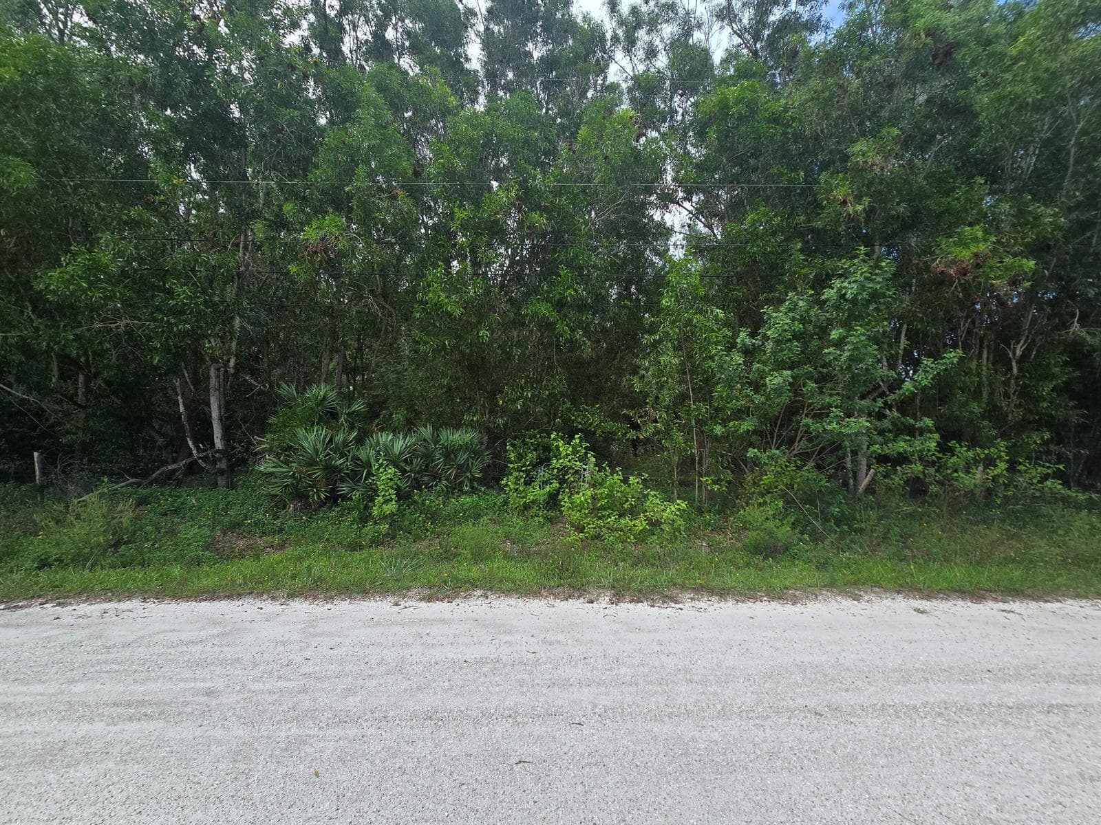 17665 46th Court N, FL 33470 photo 4