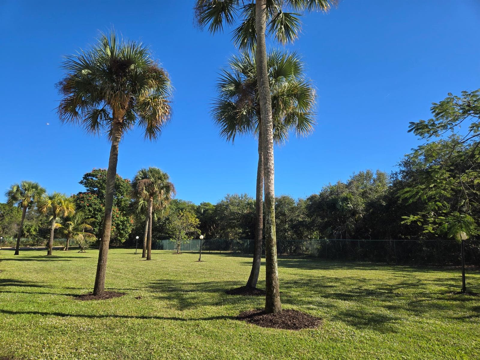 2975 SW 22nd Avenue # 1080, Delray Beach, FL 33445 photo 5
