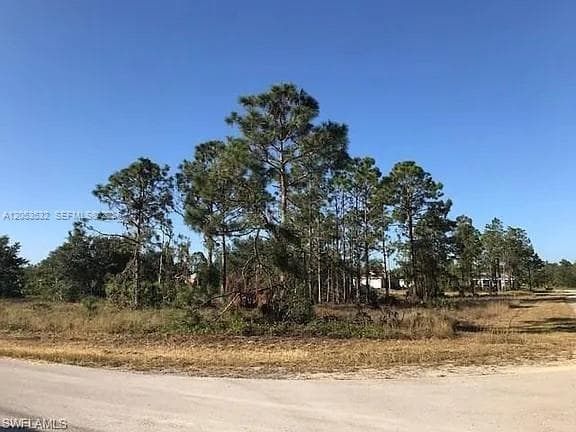 726 S Gaylord Avenue, Lehigh Acres, FL 33974 photo 3