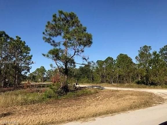 726 S Gaylord Avenue, Lehigh Acres, FL 33974 photo 5