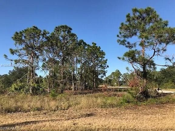 726 S Gaylord Avenue, Lehigh Acres, FL 33974 photo 4