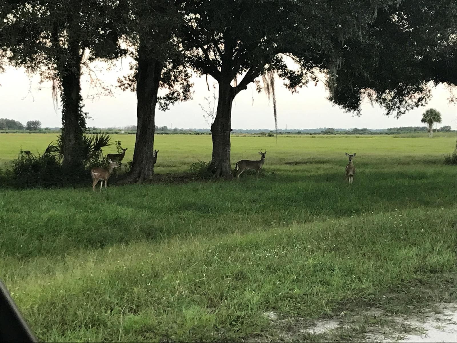 32801 US Hwy 441 N, Okeechobee, FL 34972 photo 3