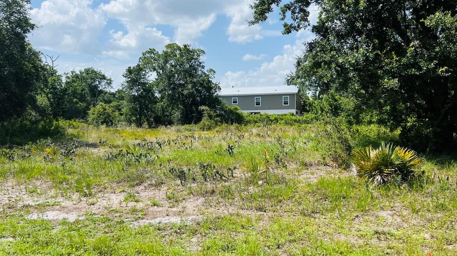 3151 MILLER Avenue, Lake Placid, FL 33852