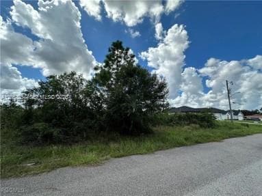 2905 W 55 STREET, Lehigh Acres, FL 33971 photo 3
