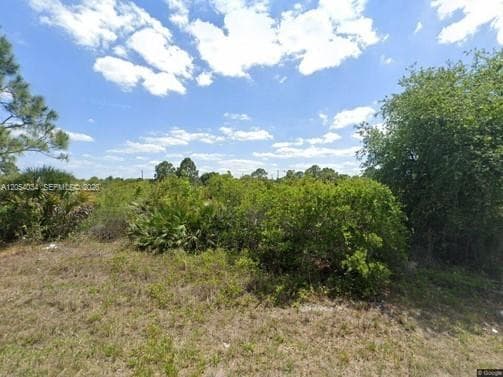 2905 W 55 STREET, Lehigh Acres, FL 33971 photo 4