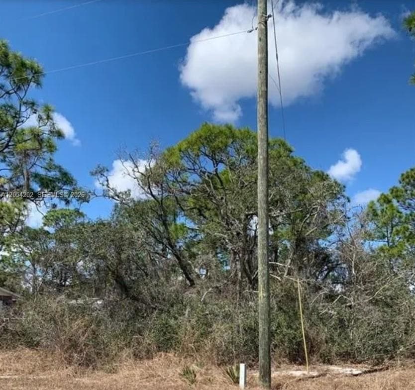 223 E Canal Way, Lake Placid, FL 33852 photo 4
