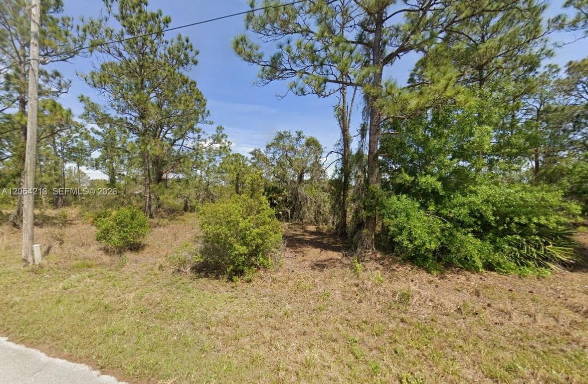120 Enos Ave, Lake Placid, FL 33852 photo 3