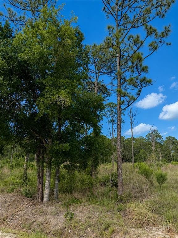 2320 82ND Avenue SW, Vero Beach, FL 32968 photo 3