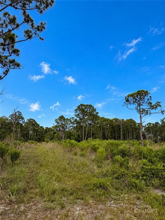 2320 82ND Avenue SW, Vero Beach, FL 32968 photo 5