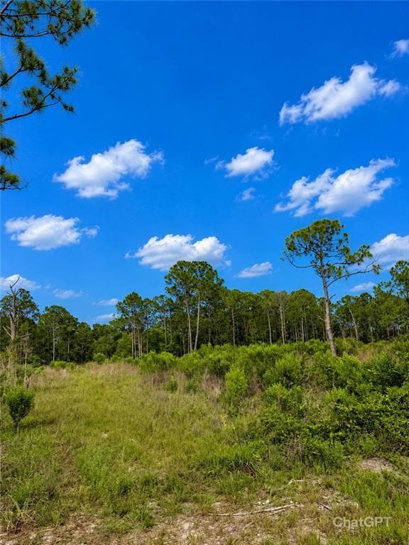 2320 82ND Avenue SW, Vero Beach, FL 32968 photo 4