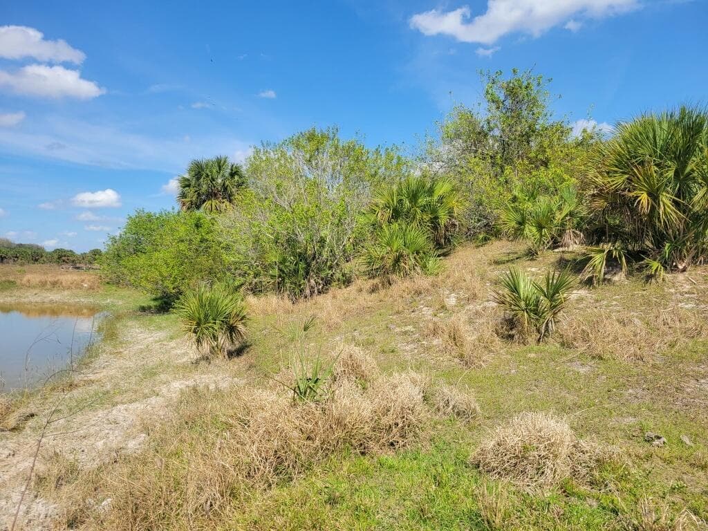 0 Cabbage Drive, Okeechobee, FL 34974 photo 5