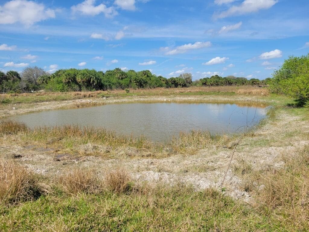 0 Cabbage Drive, Okeechobee, FL 34974 photo 4