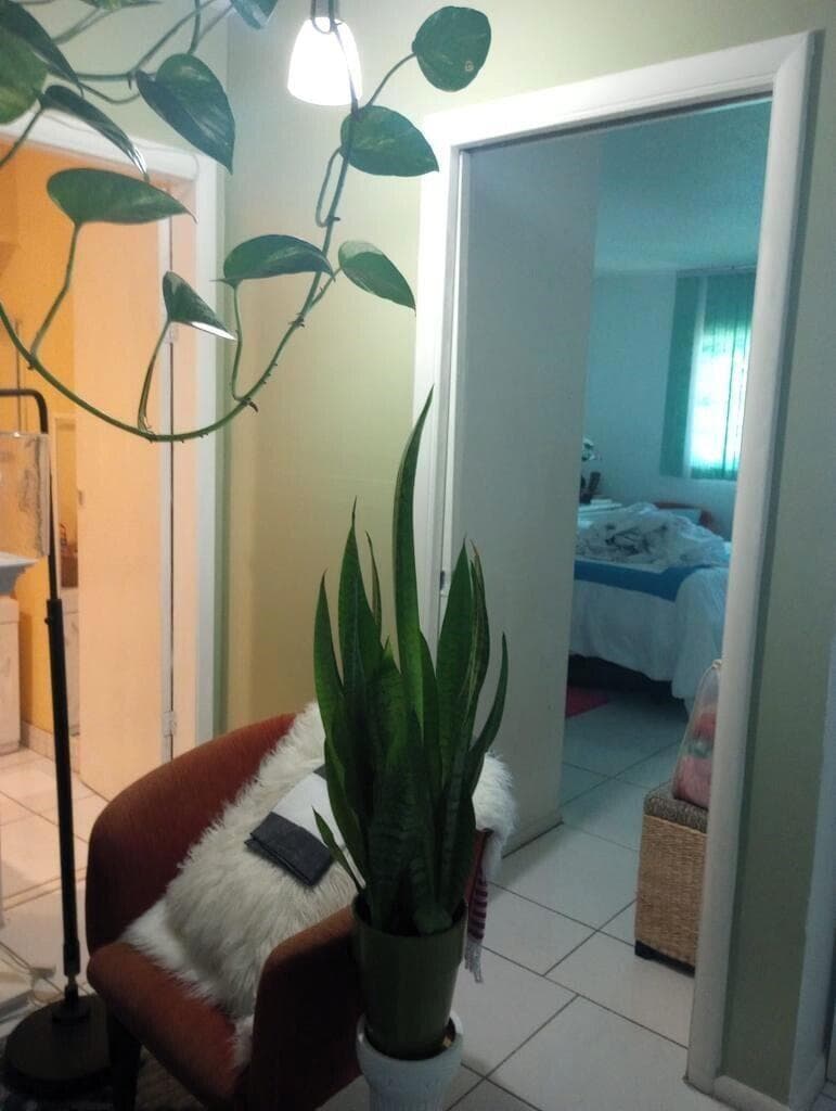 1250 E SAMPLE Road # 307, Pompano Beach, FL 33064 photo 2