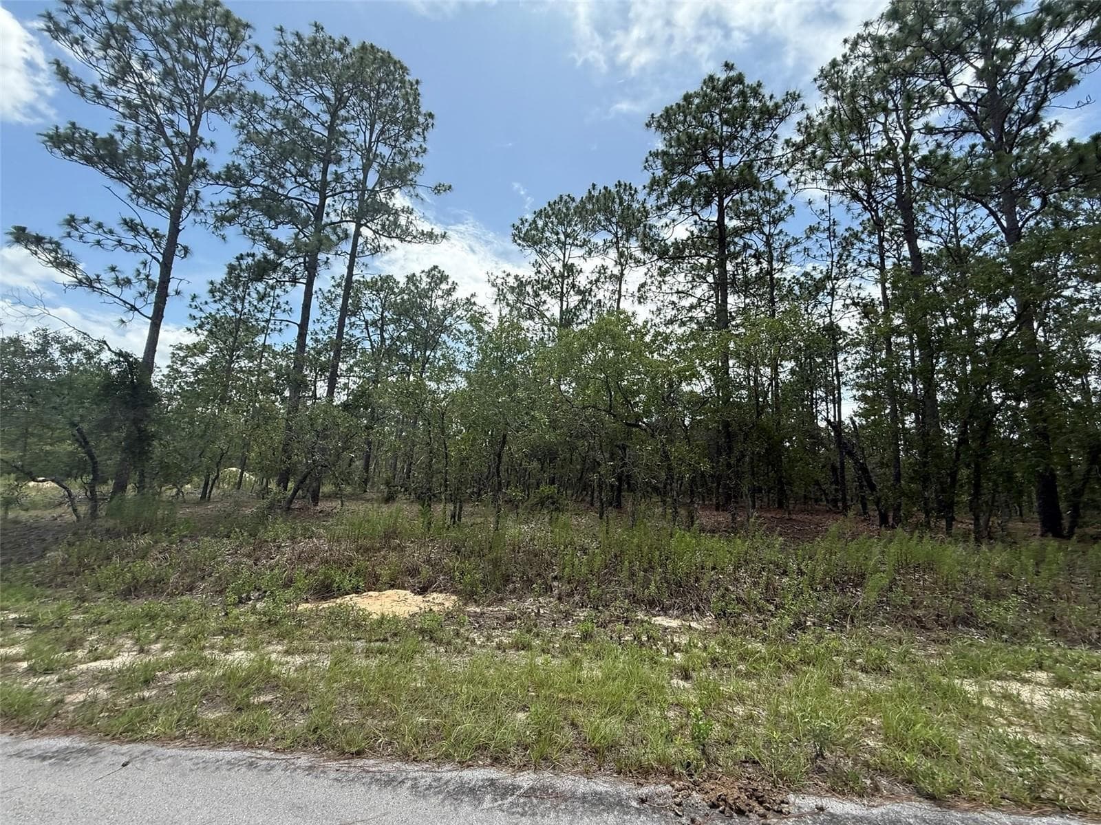 Tbd NW Tree Top Road, FL 34431 photo 3