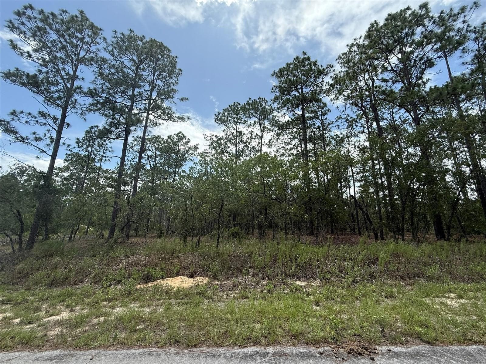 Tbd NW Tree Top Road, FL 34431 photo 5
