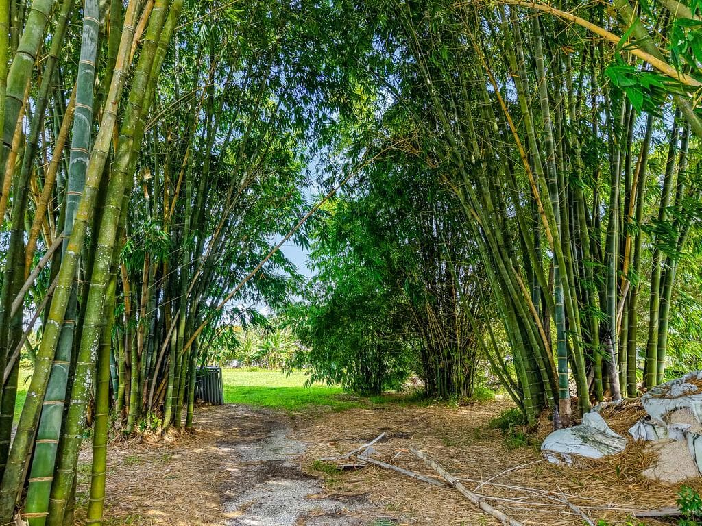 6250 SW 180TH Terrace, Southwest Ranches, FL 33331 photo 4