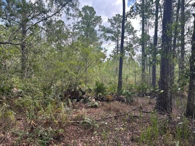 0 water Road, Clermont, FL 33868 photo 2