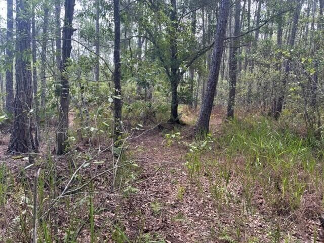 0 water Road, Clermont, FL 33868 photo 3