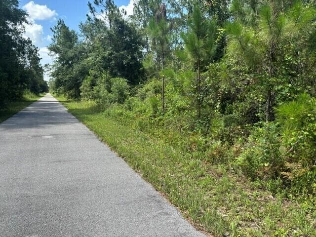 0 water Road, Clermont, FL 33868 photo 4