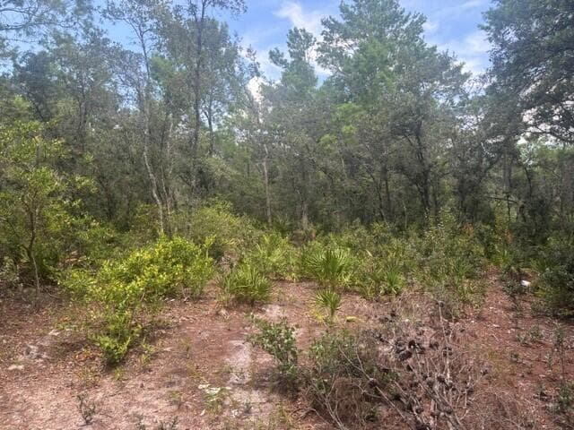 0 Us Hwy 27, Lake Wales, FL 33859 photo 3