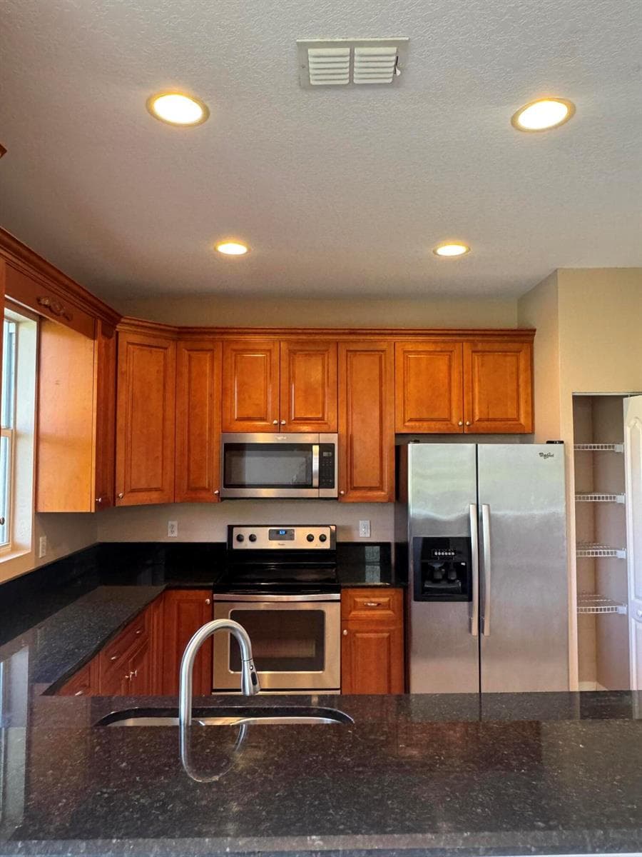 911 Seminole Palms Drive, FL 33463 photo 4