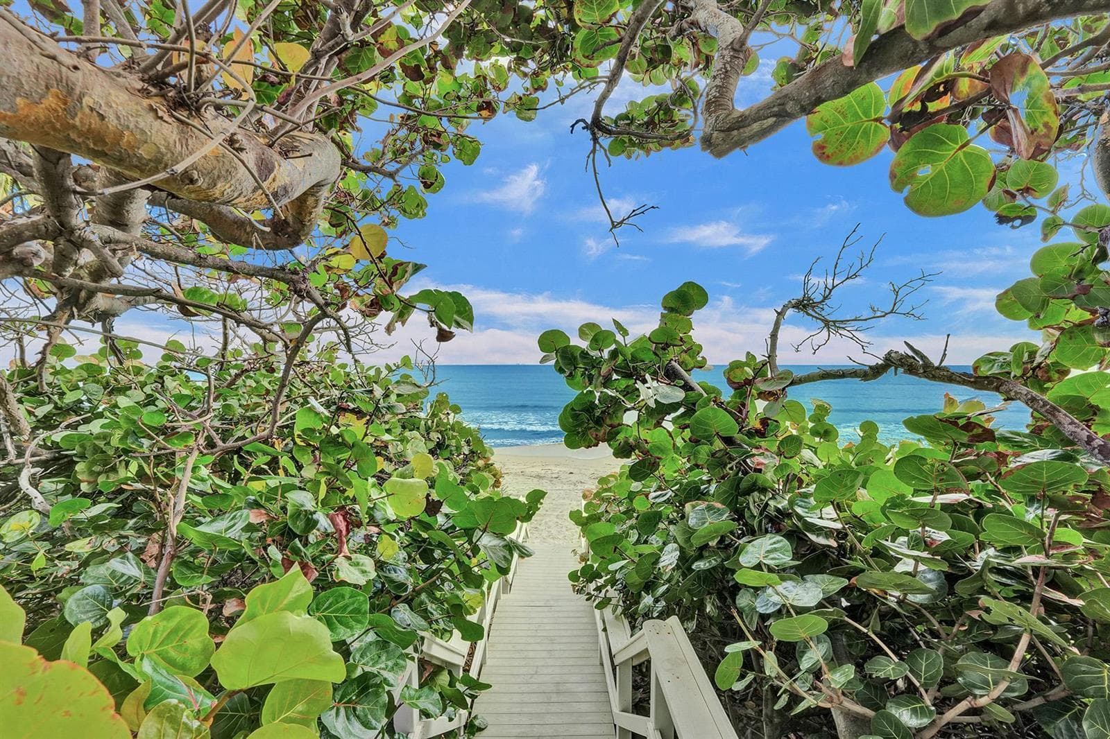 3606 S OCEAN Boulevard # 603, Highland Beach, FL 33487 photo 4