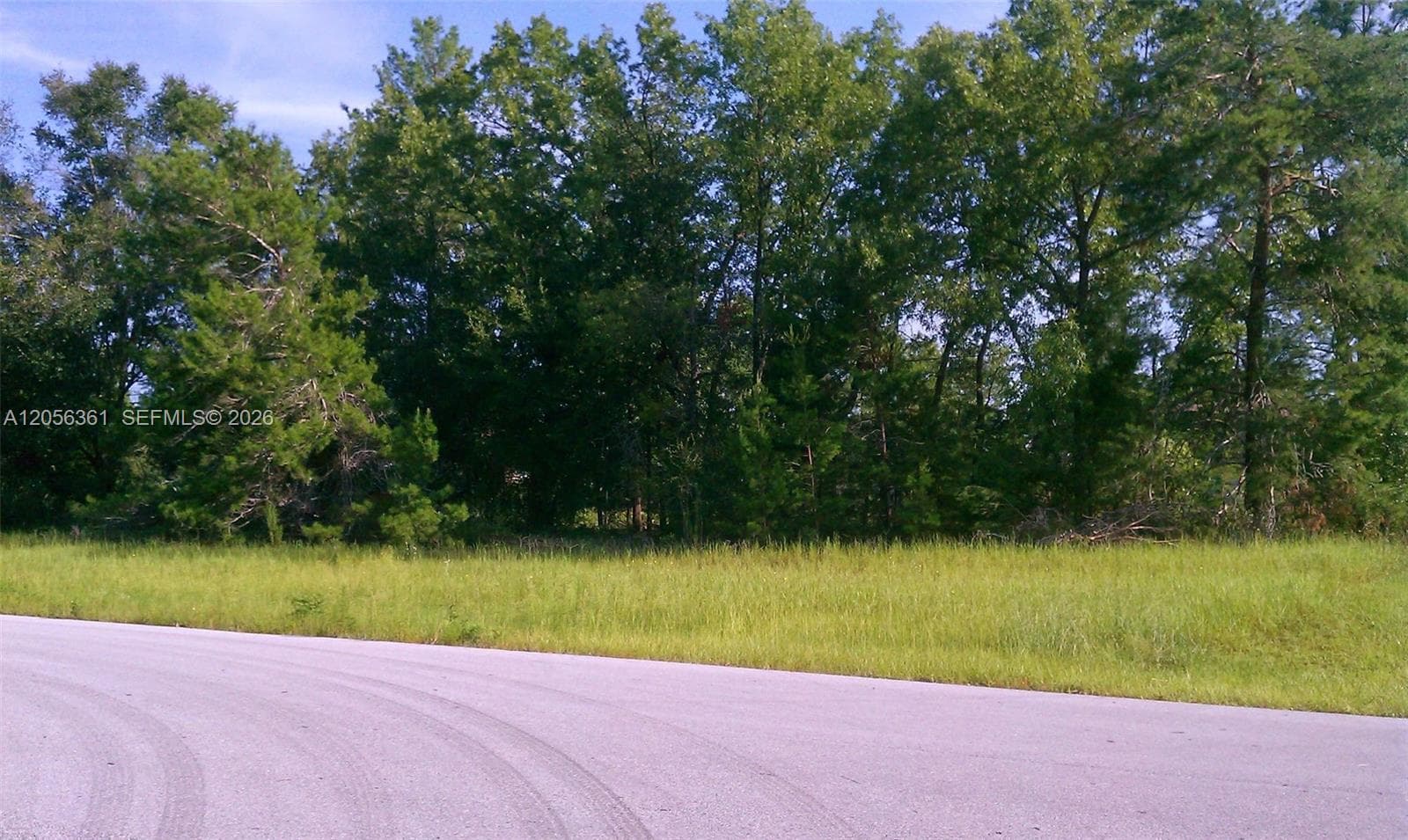 0 0, Ocala, FL 34471 photo 4