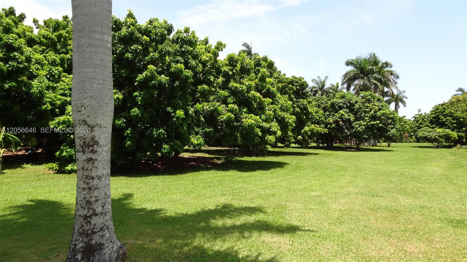 4 Av NE 152 St, Biscayne Gardens, FL 33162 photo 2