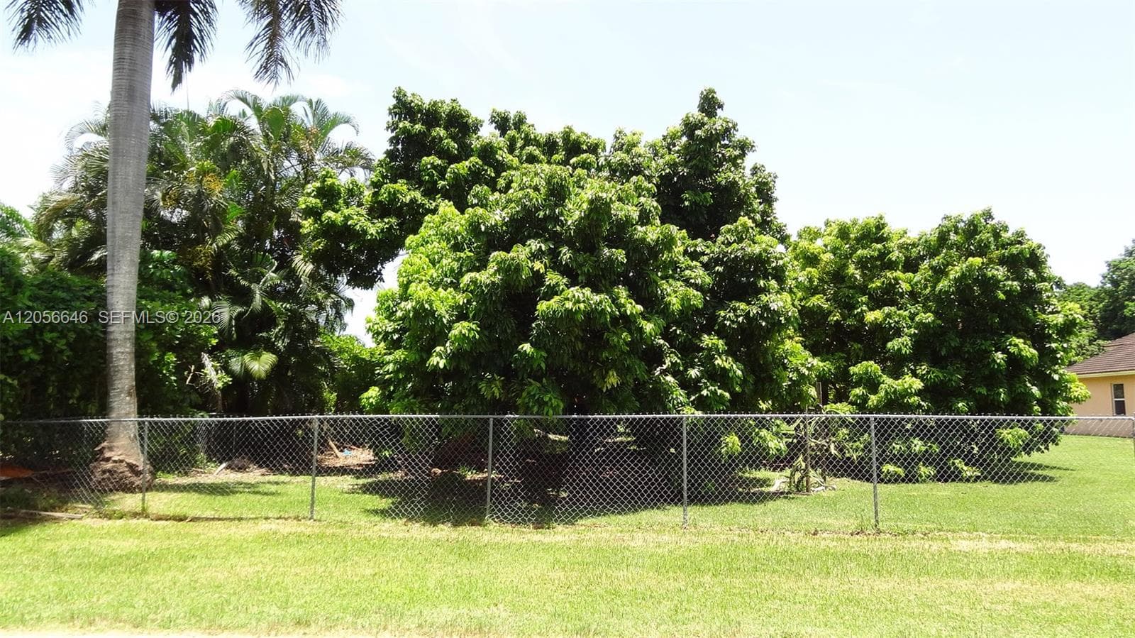 4 Av NE 152 St, Biscayne Gardens, FL 33162 photo 5