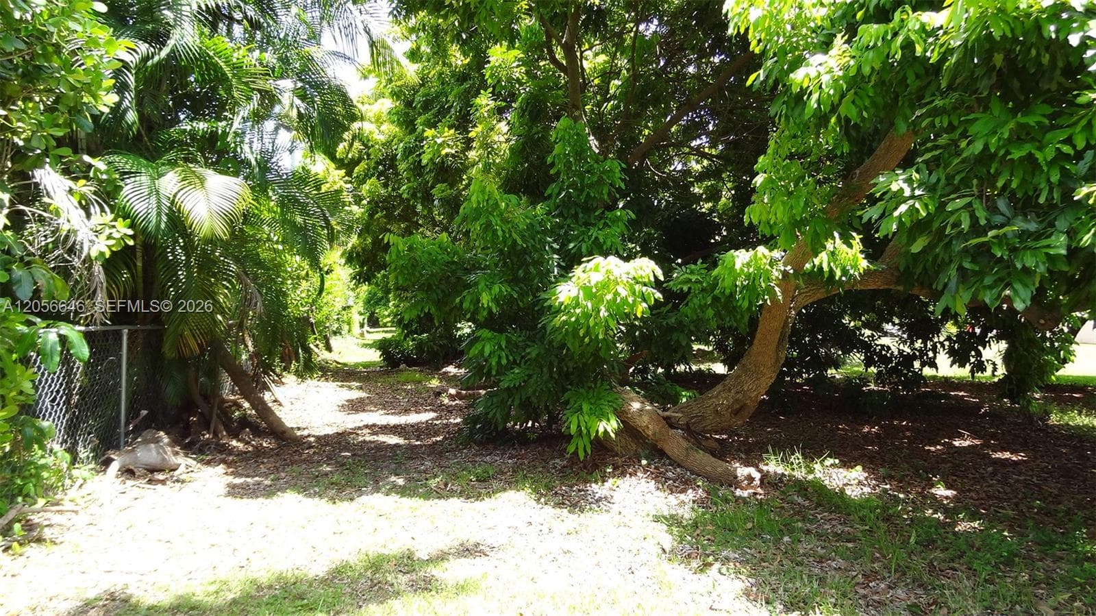 4 Av NE 152 St, Biscayne Gardens, FL 33162 photo 4