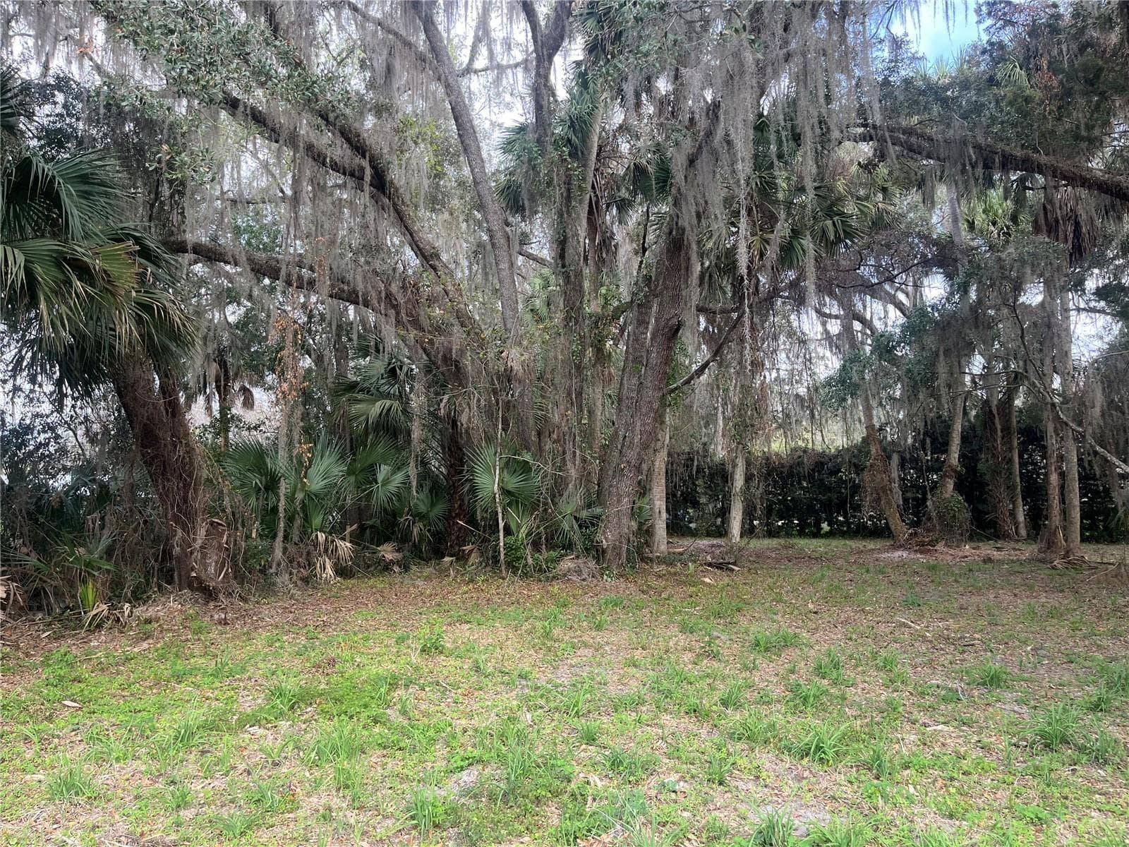 0 SE 183rd Avenue, FL 32640 photo 3