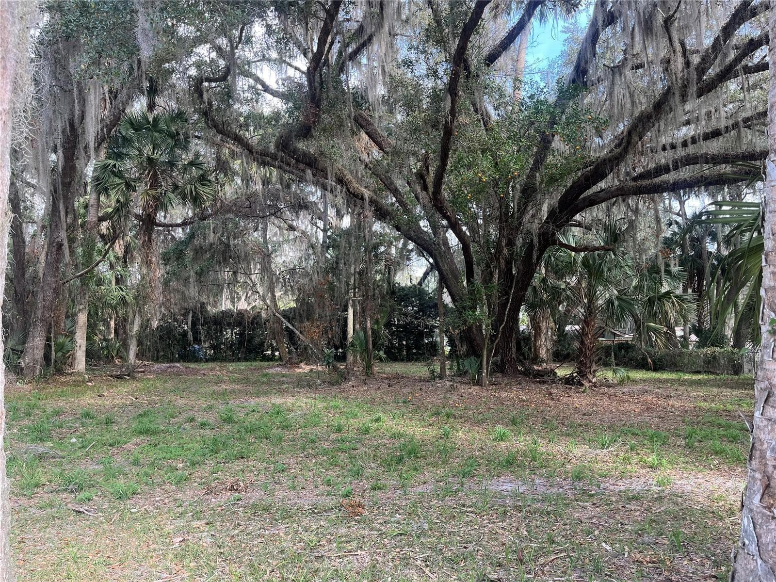 0 SE 183rd Avenue, FL 32640 photo 5