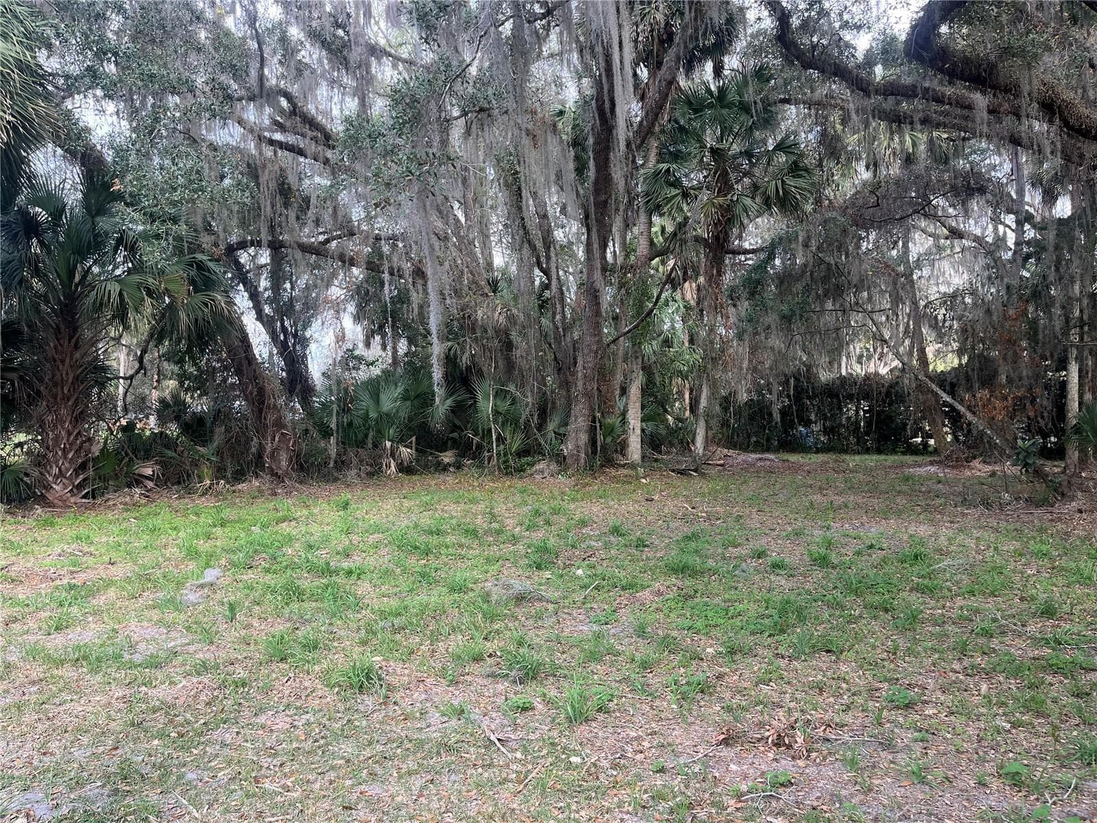 0 SE 183rd Avenue, FL 32640 photo 4