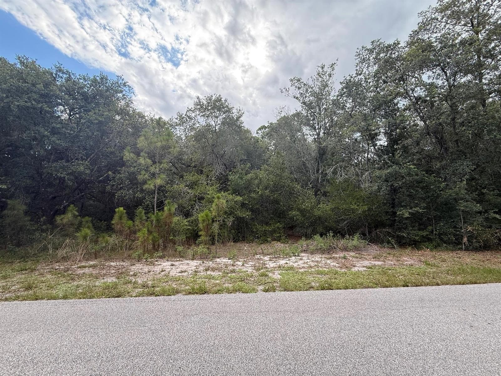 1012 Wildflower Street, Lake Placid, FL 33852 photo 2