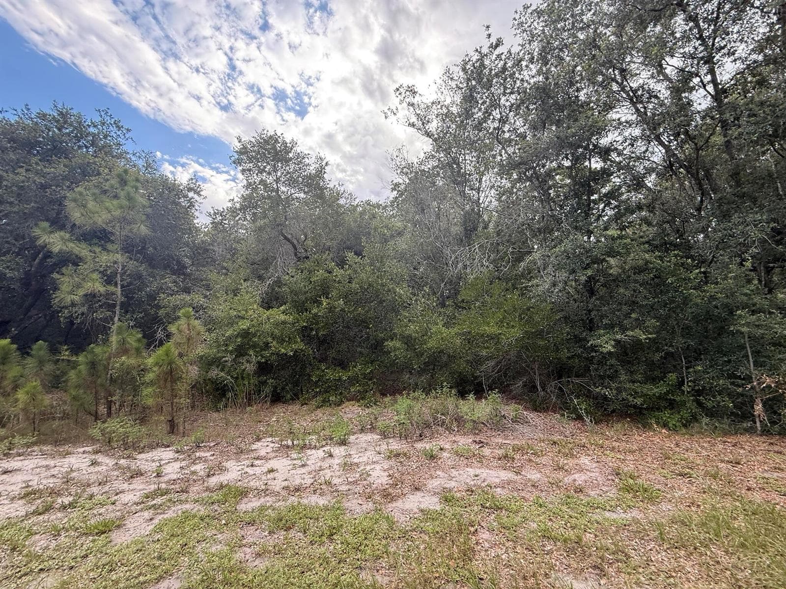 1012 Wildflower Street, Lake Placid, FL 33852 photo 3