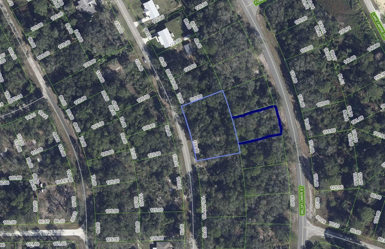 1012 Wildflower Street, Lake Placid, FL 33852 photo 5