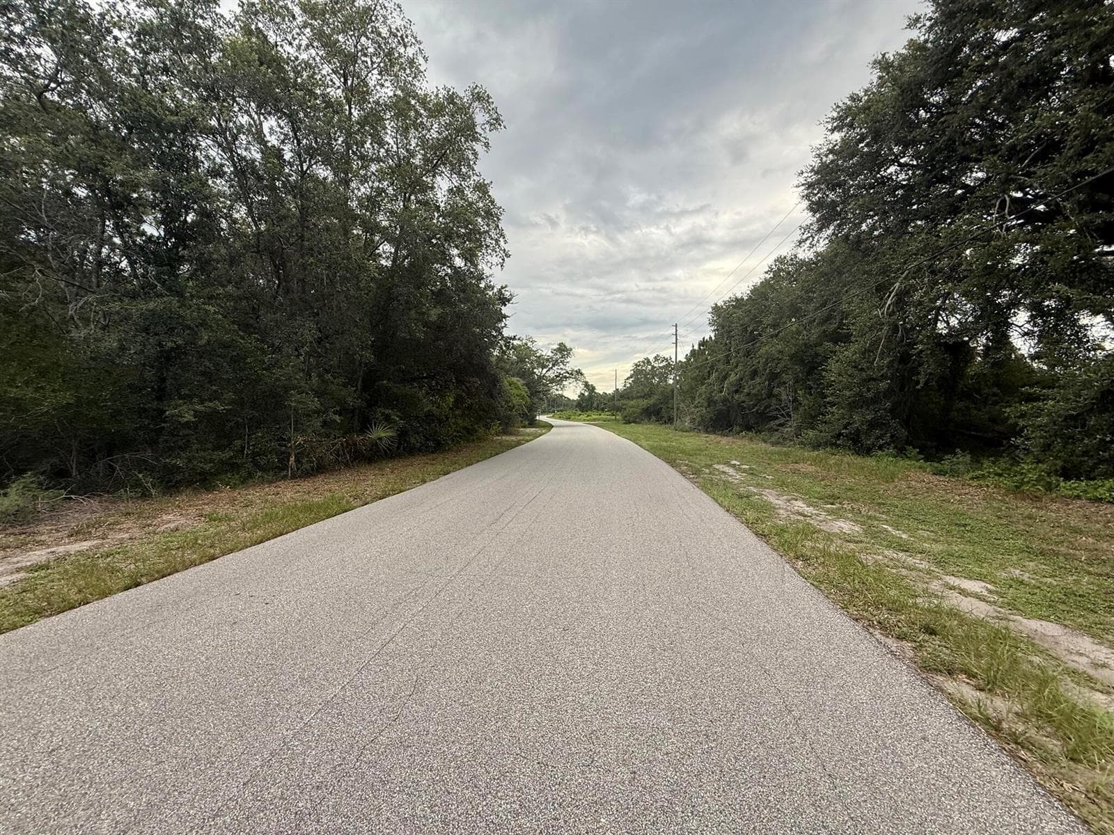 1012 Wildflower Street, Lake Placid, FL 33852 photo 4