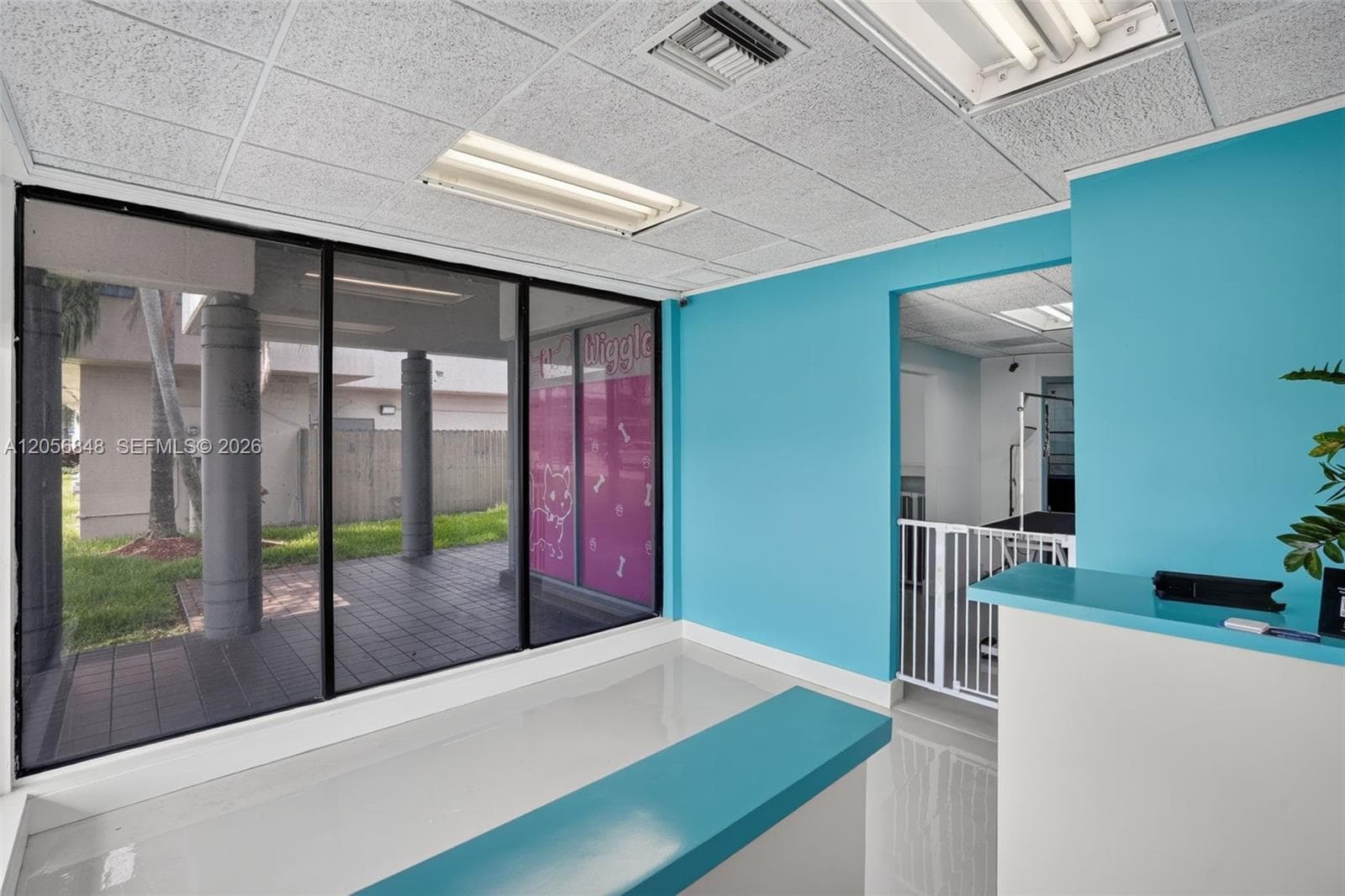 Dog Grooming Shop for Sale in Miami, Miami, FL 33173 photo 5